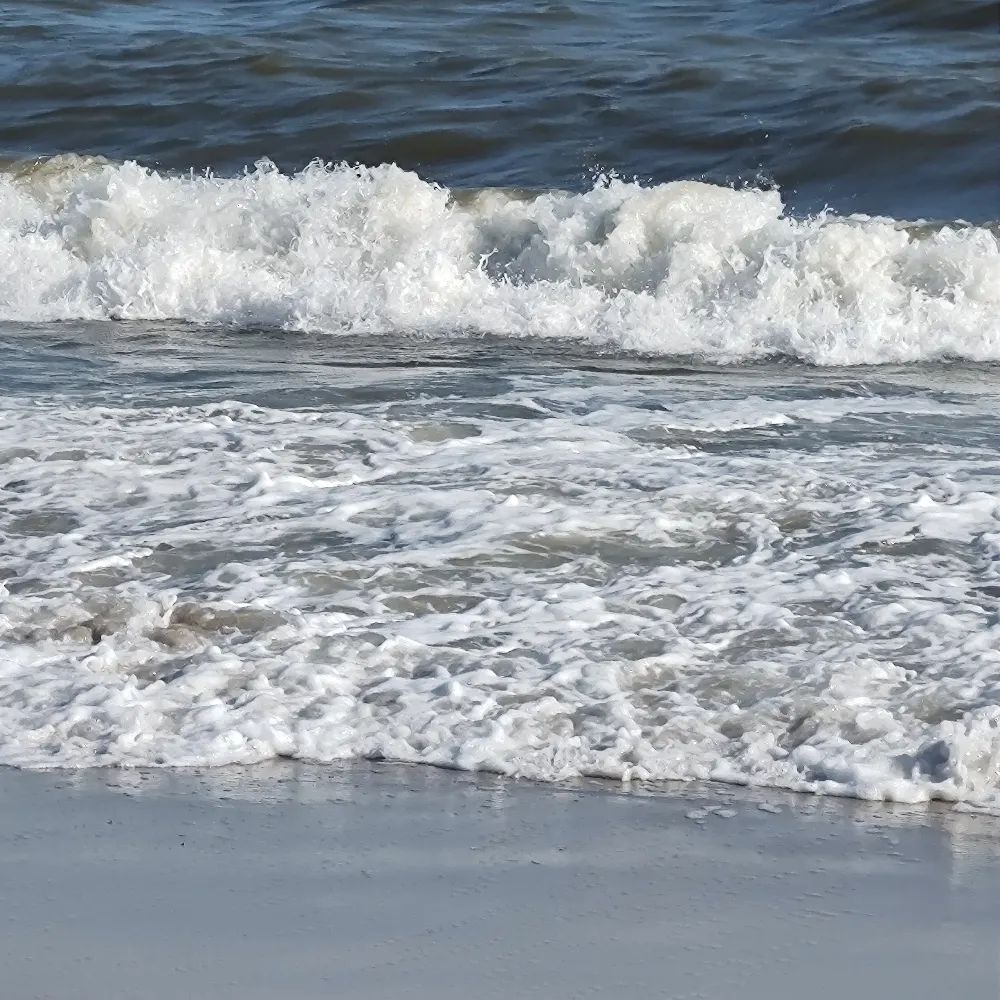 mstjtou.bsky.social's profile picture