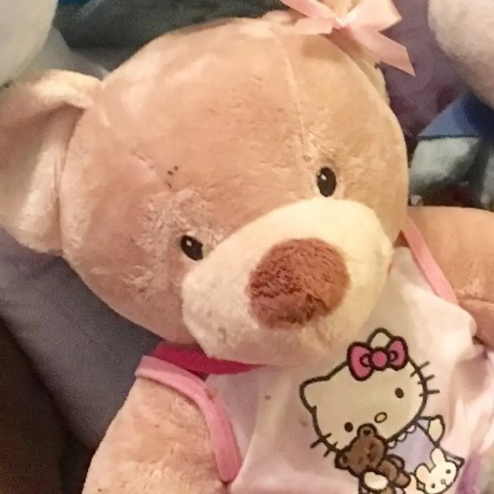 anontranshoe.bsky.social's profile picture