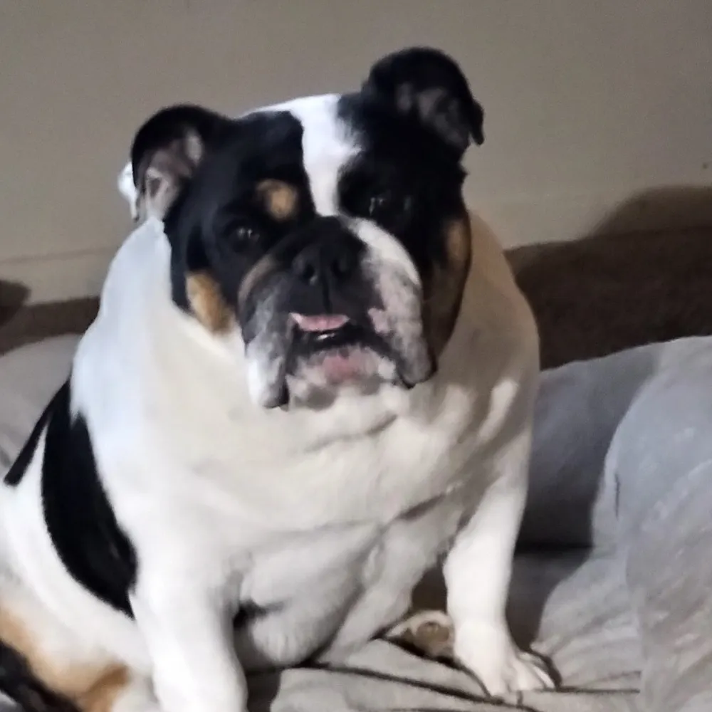 marianh.bsky.social's profile picture