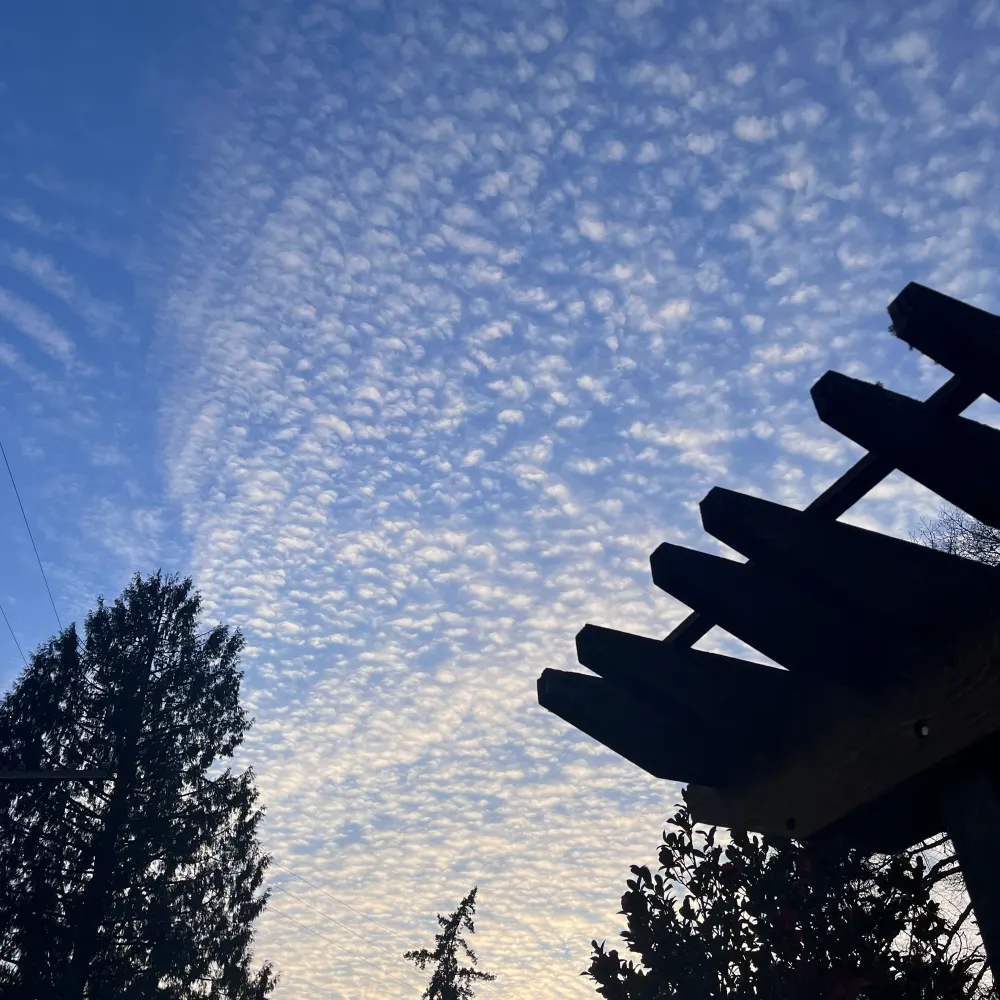 bkuhnhaus.bsky.social's profile picture