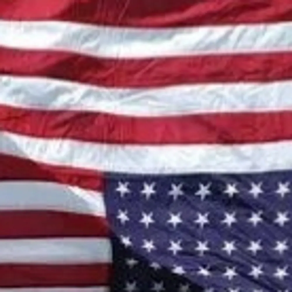 meesefeathers.bsky.social's profile picture