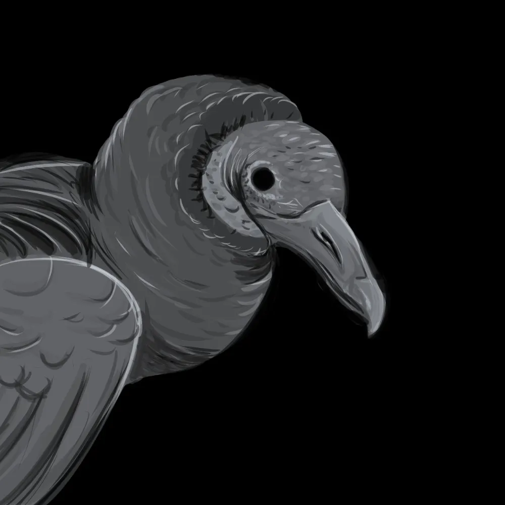 verdigristle.com's profile picture