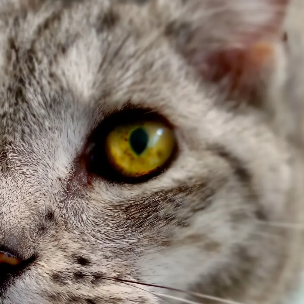 nzkatya.bsky.social's profile picture