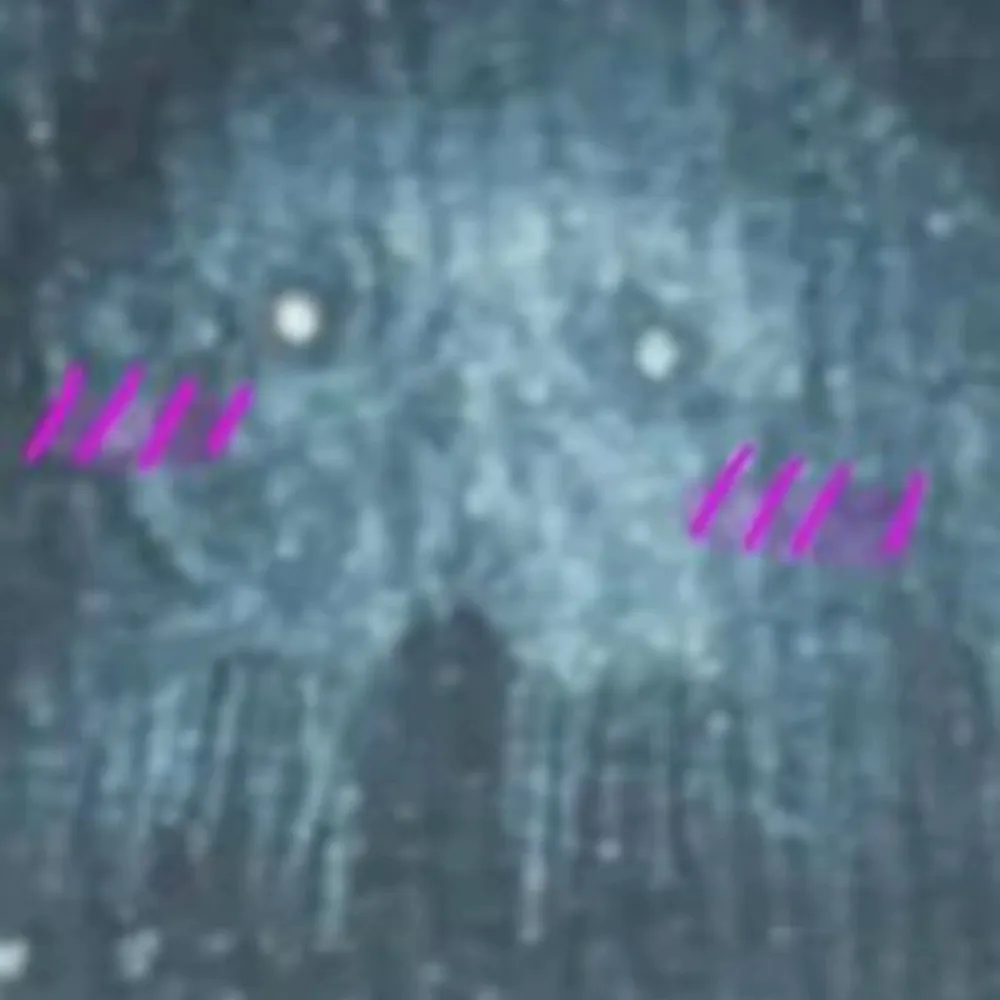 tunaloaf.bsky.social's profile picture