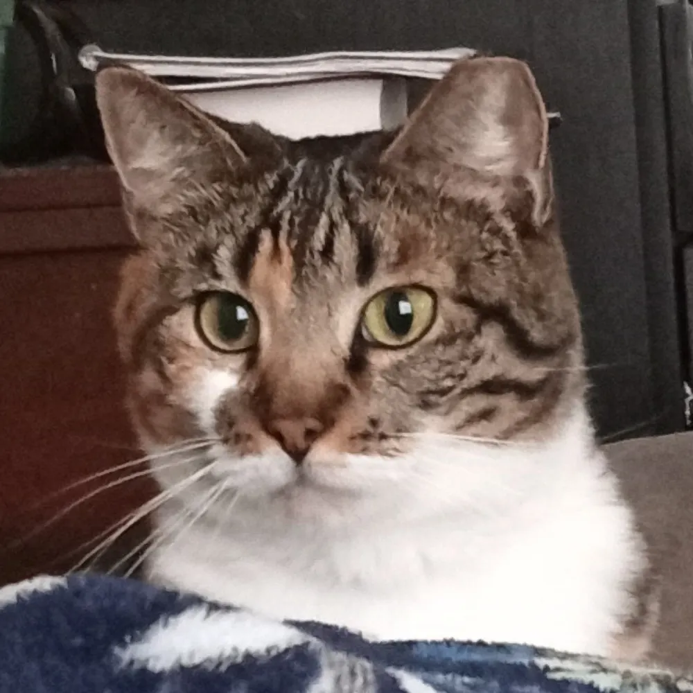 ssabrina13.bsky.social's profile picture