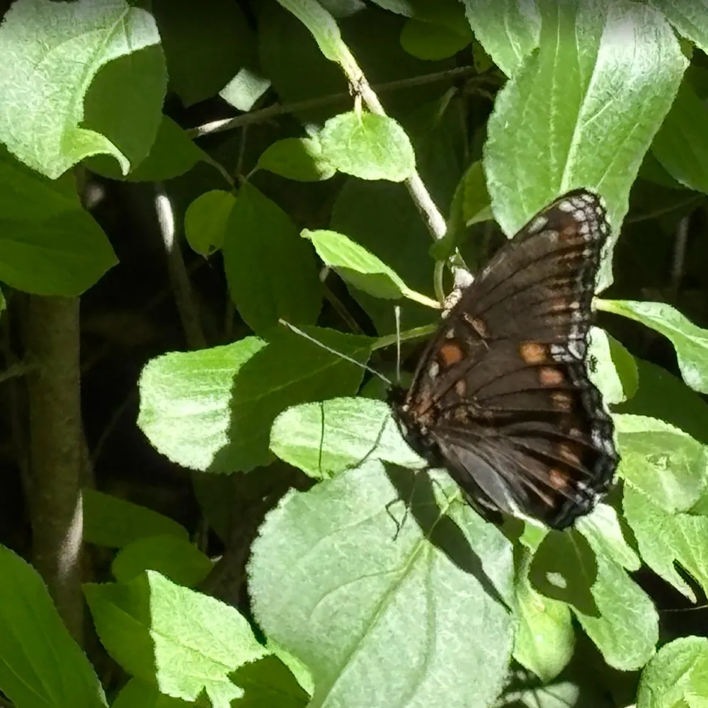 riceboilsover.bsky.social's profile picture