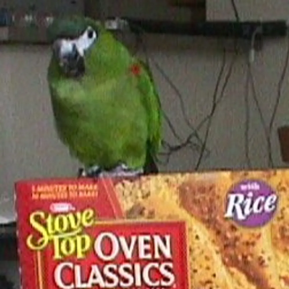 kathrynneh.bsky.social's profile picture