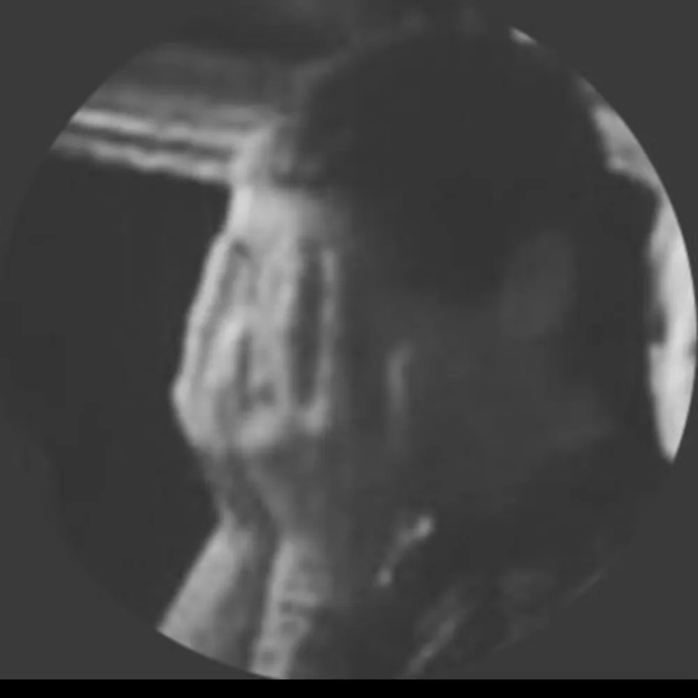 protocrone.bsky.social's profile picture