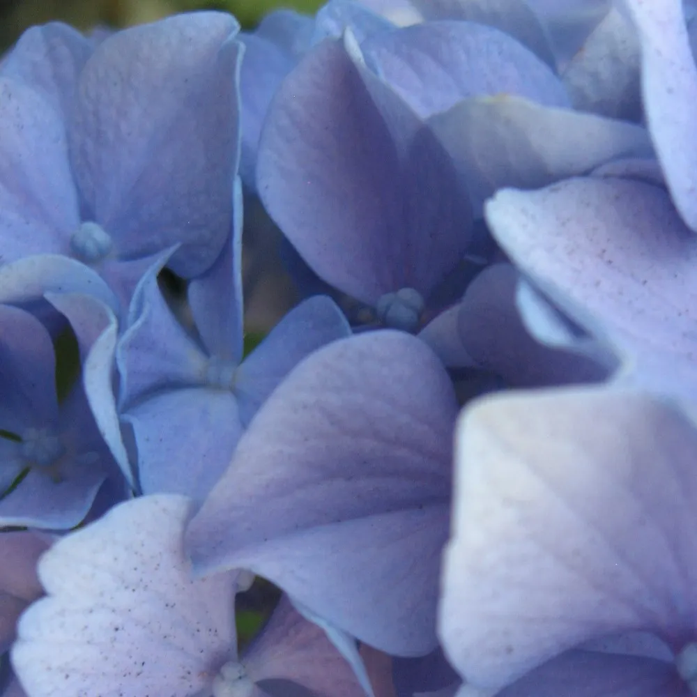 amwclark.bsky.social's profile picture