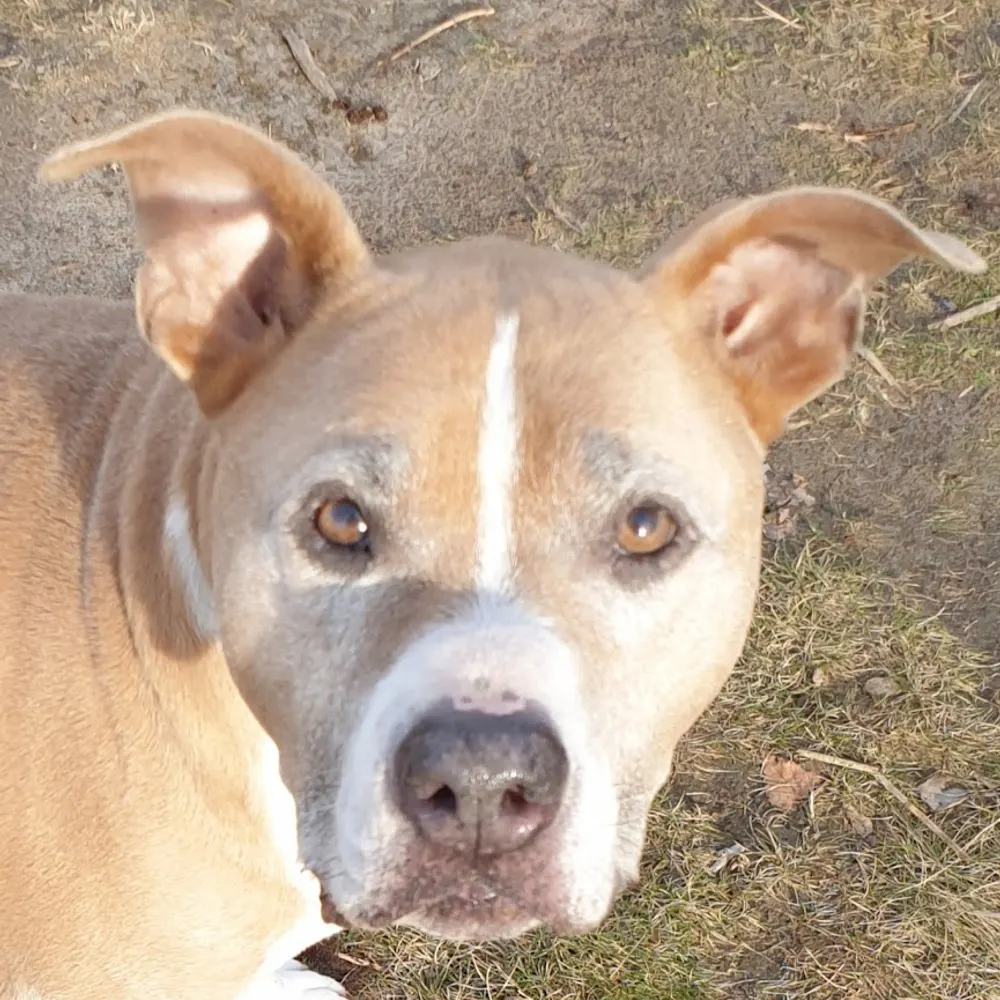 mejasonandsi.bsky.social's profile picture