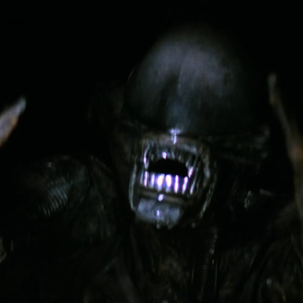 mellowcanuck.bsky.social's profile picture