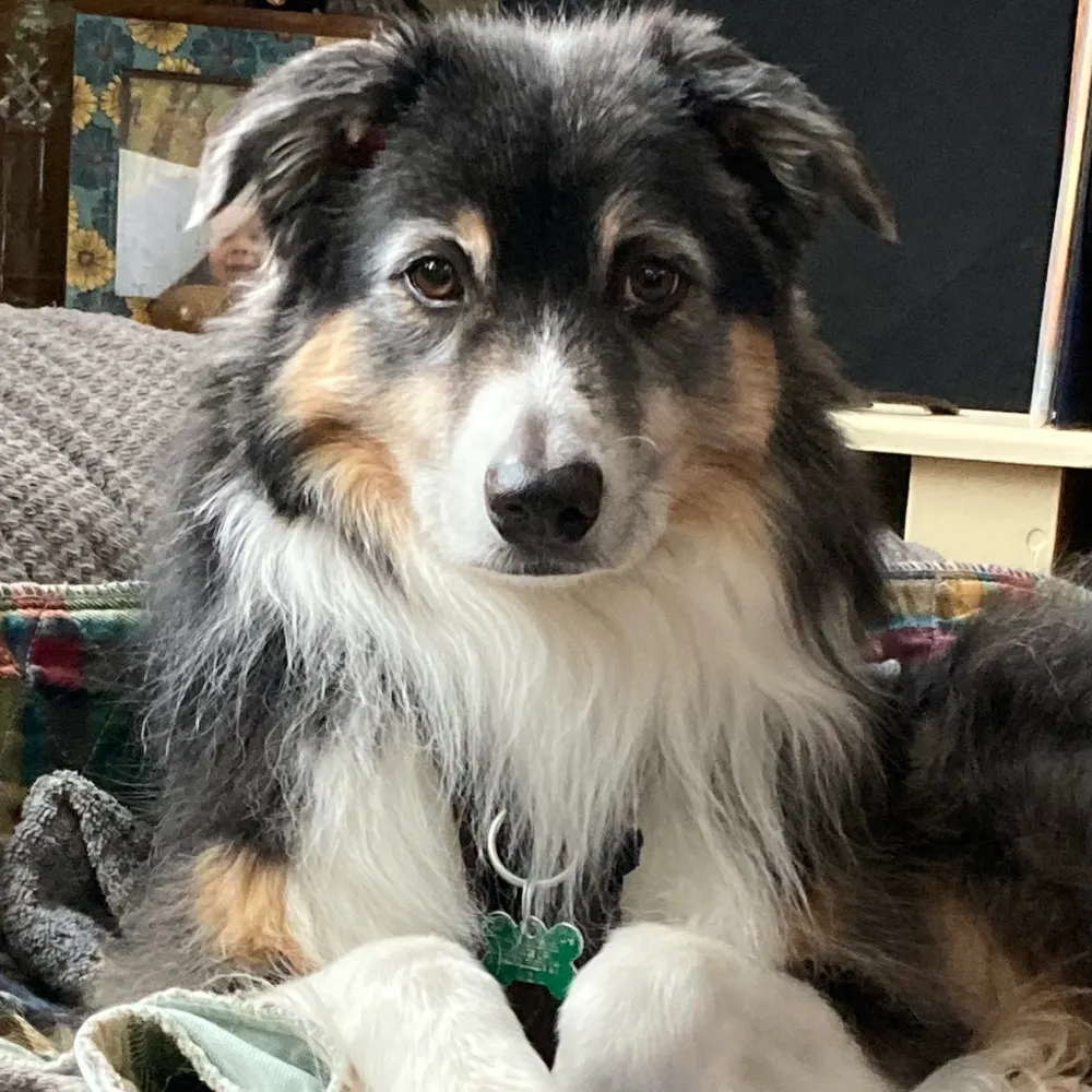 huckfinnvt.bsky.social's profile picture