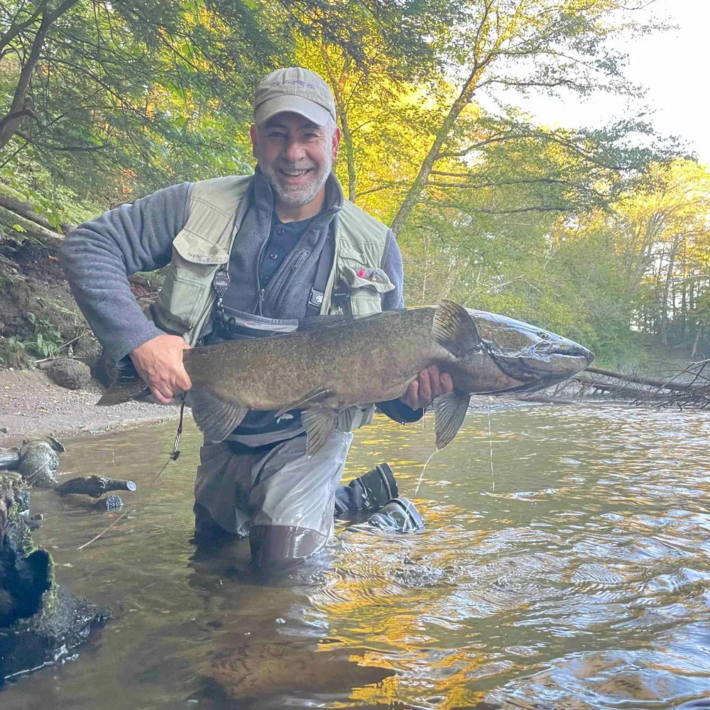 radgrapes.bsky.social's profile picture