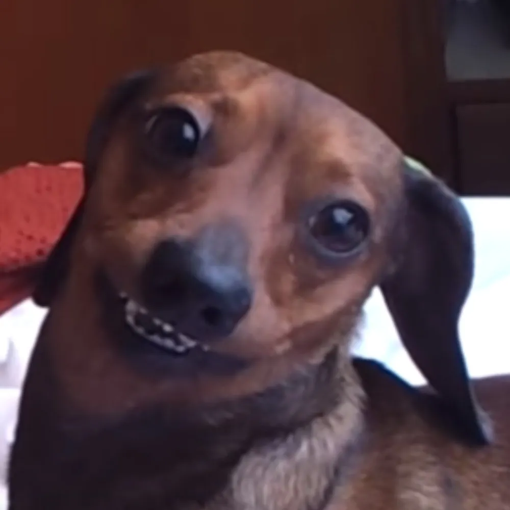 ass.business's profile picture