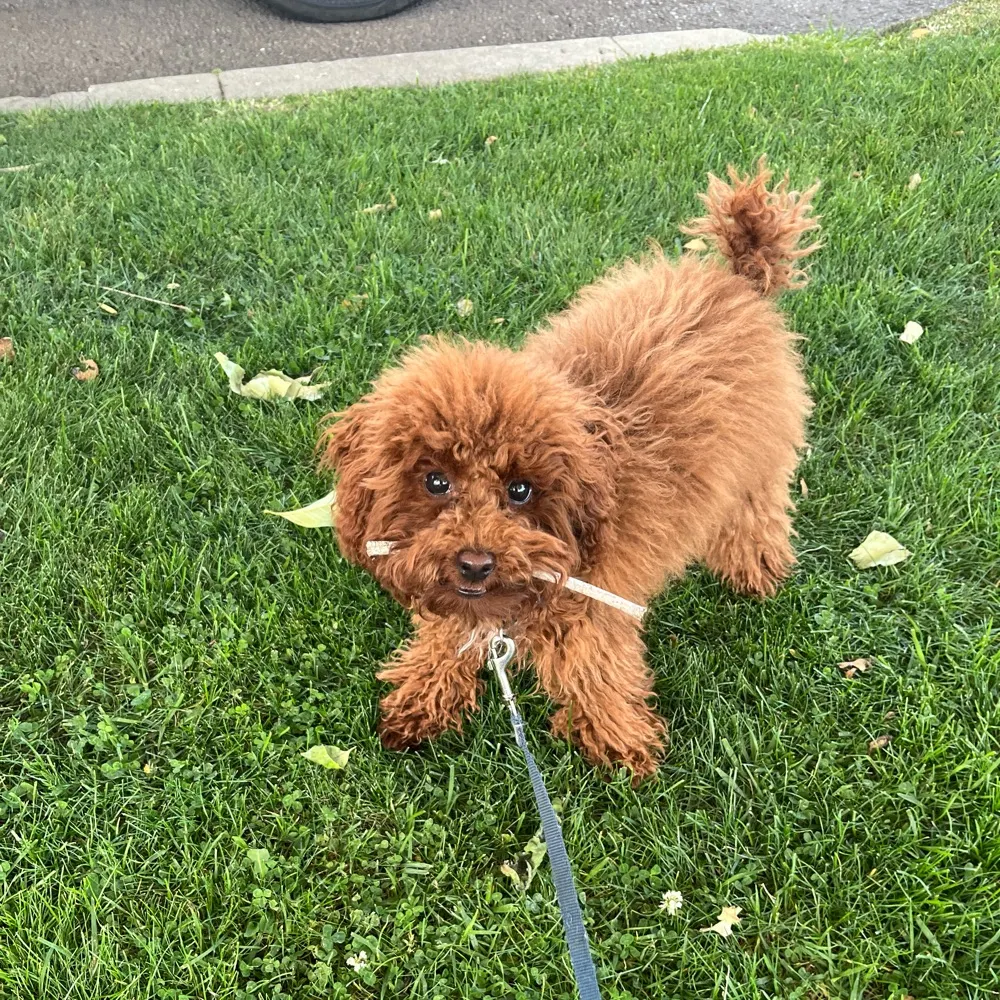 erupton.bsky.social's profile picture