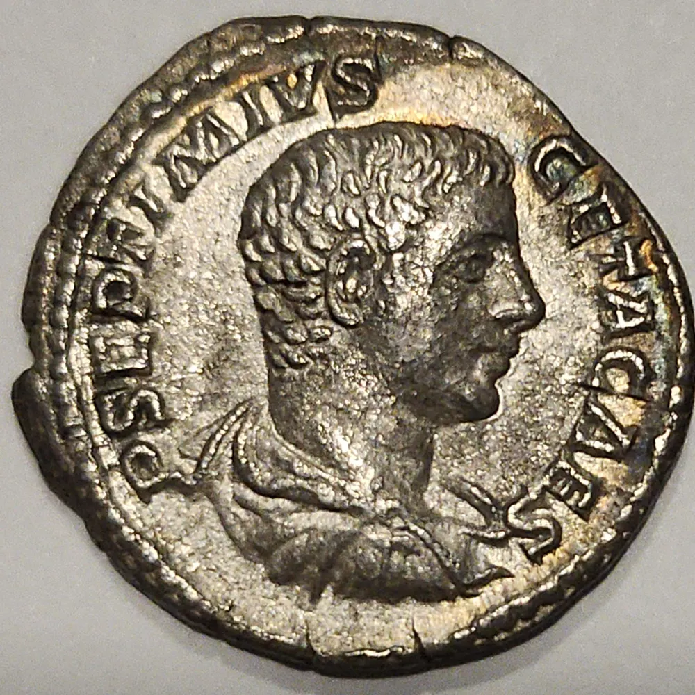 phlox1.bsky.social's profile picture