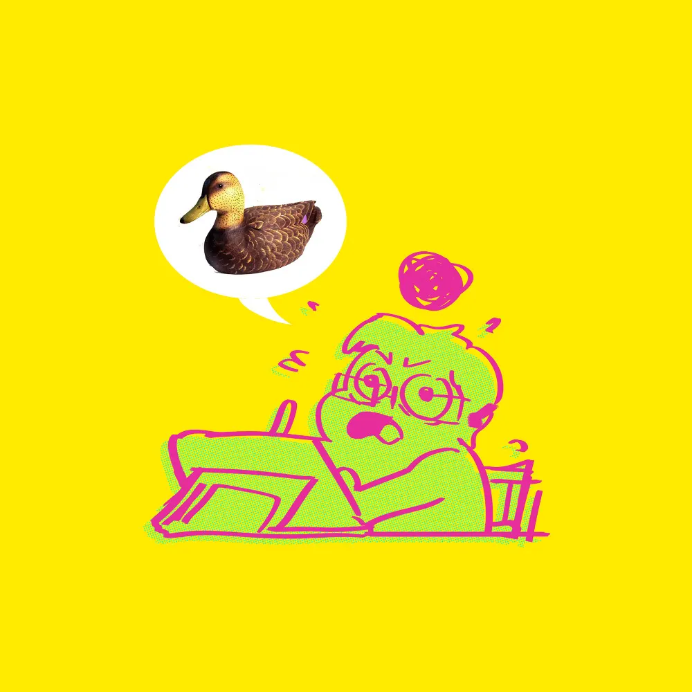 rajavlitra.bsky.social's profile picture