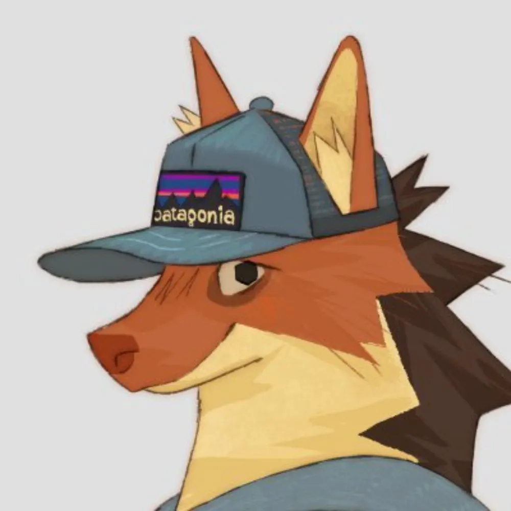 remulle.bsky.social's profile picture