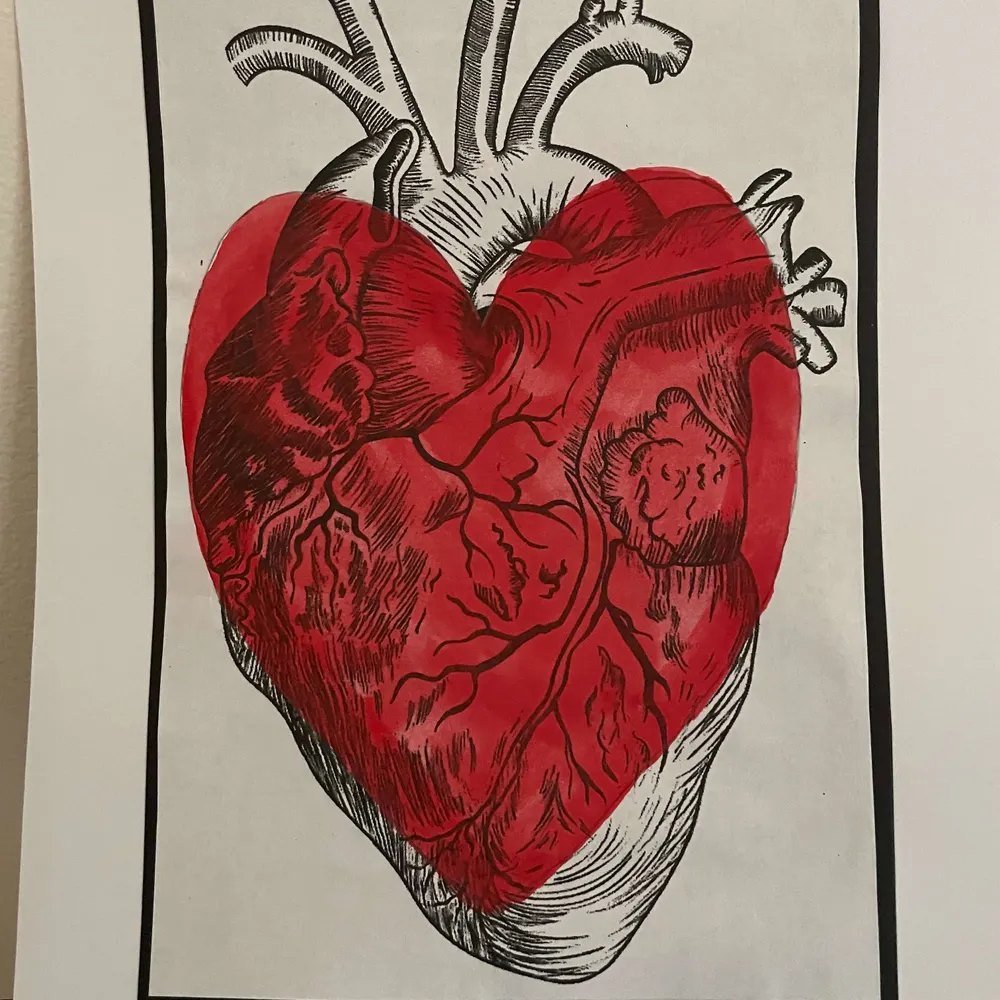 ejgertz.bsky.social's profile picture