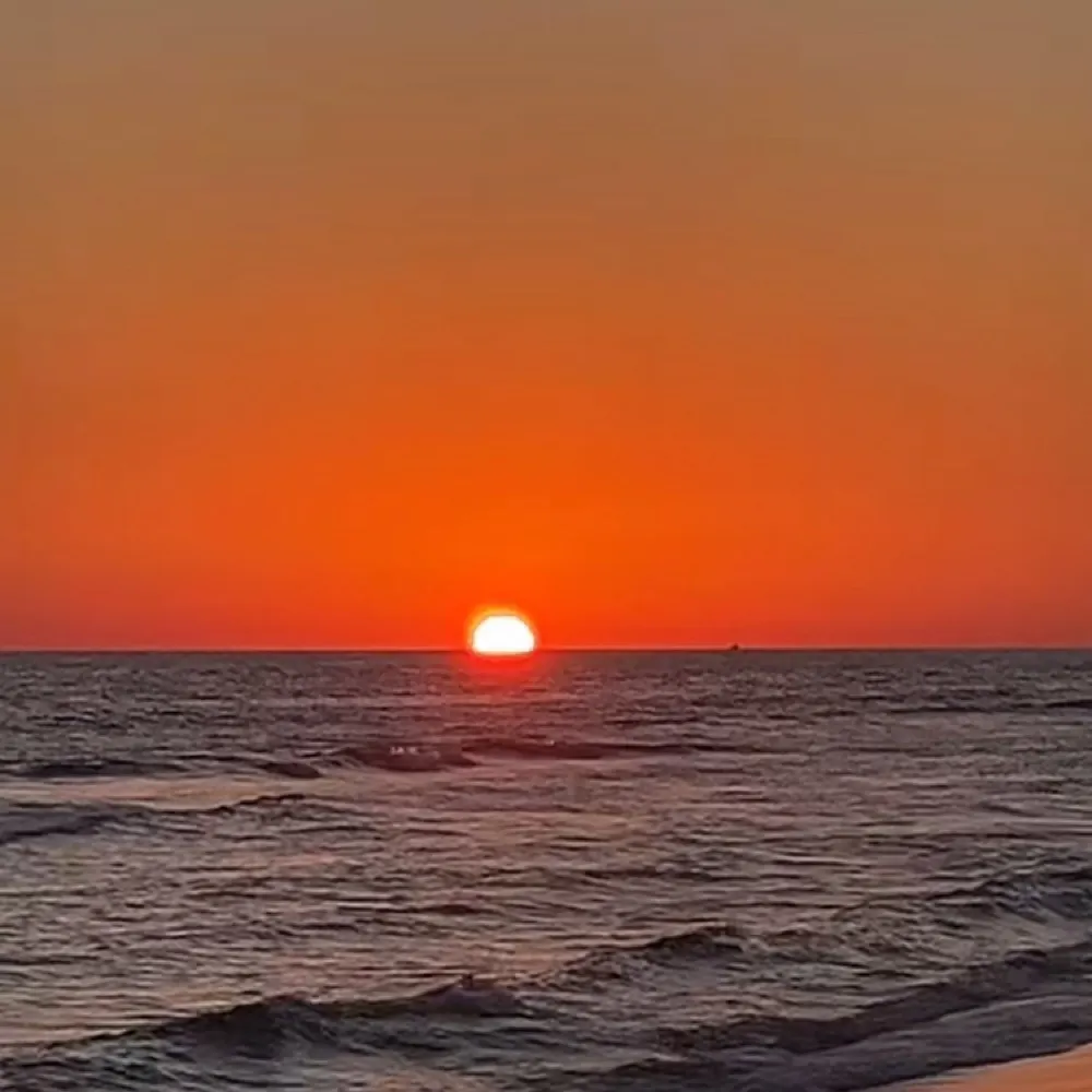 uniteourstates.bsky.social's profile picture