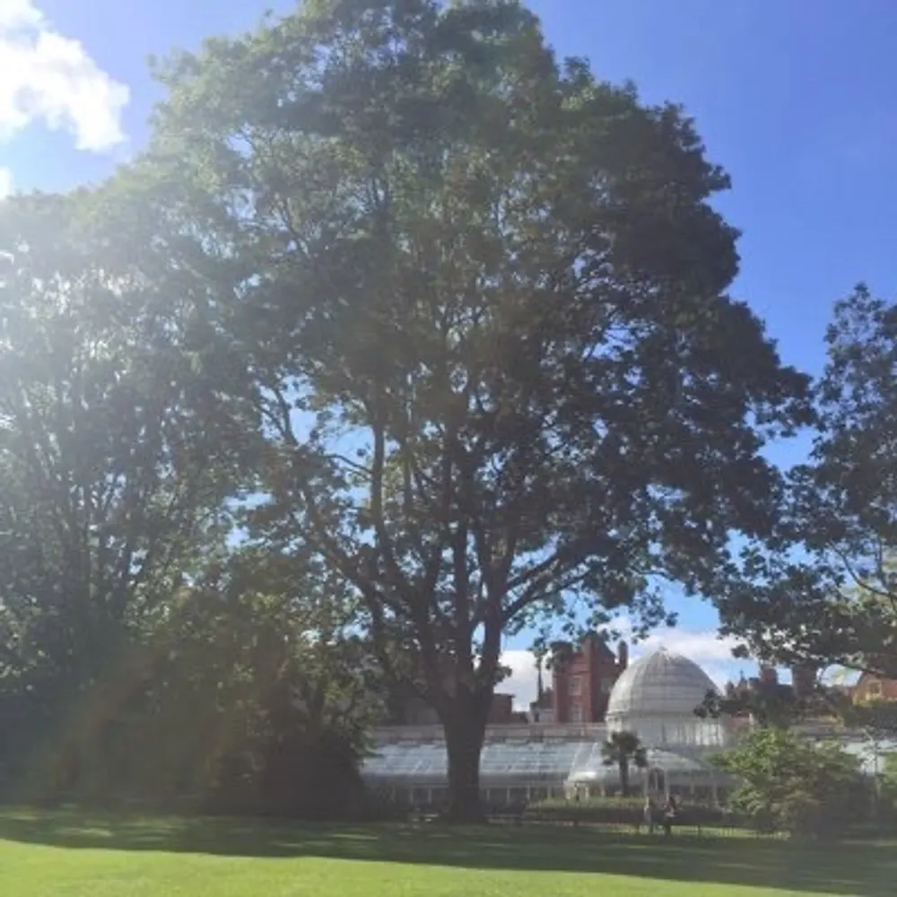 louthforever.bsky.social's profile picture