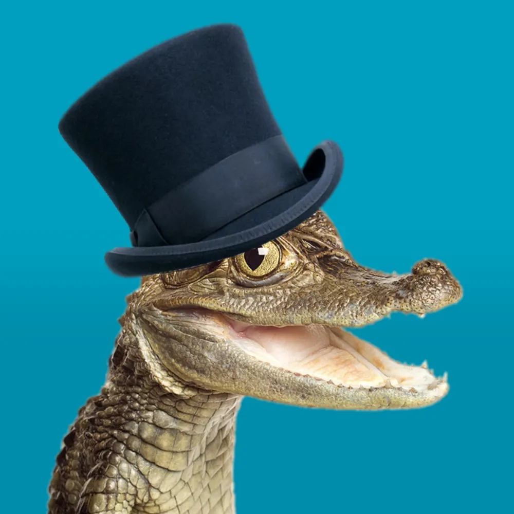 krobopro.bsky.social's profile picture