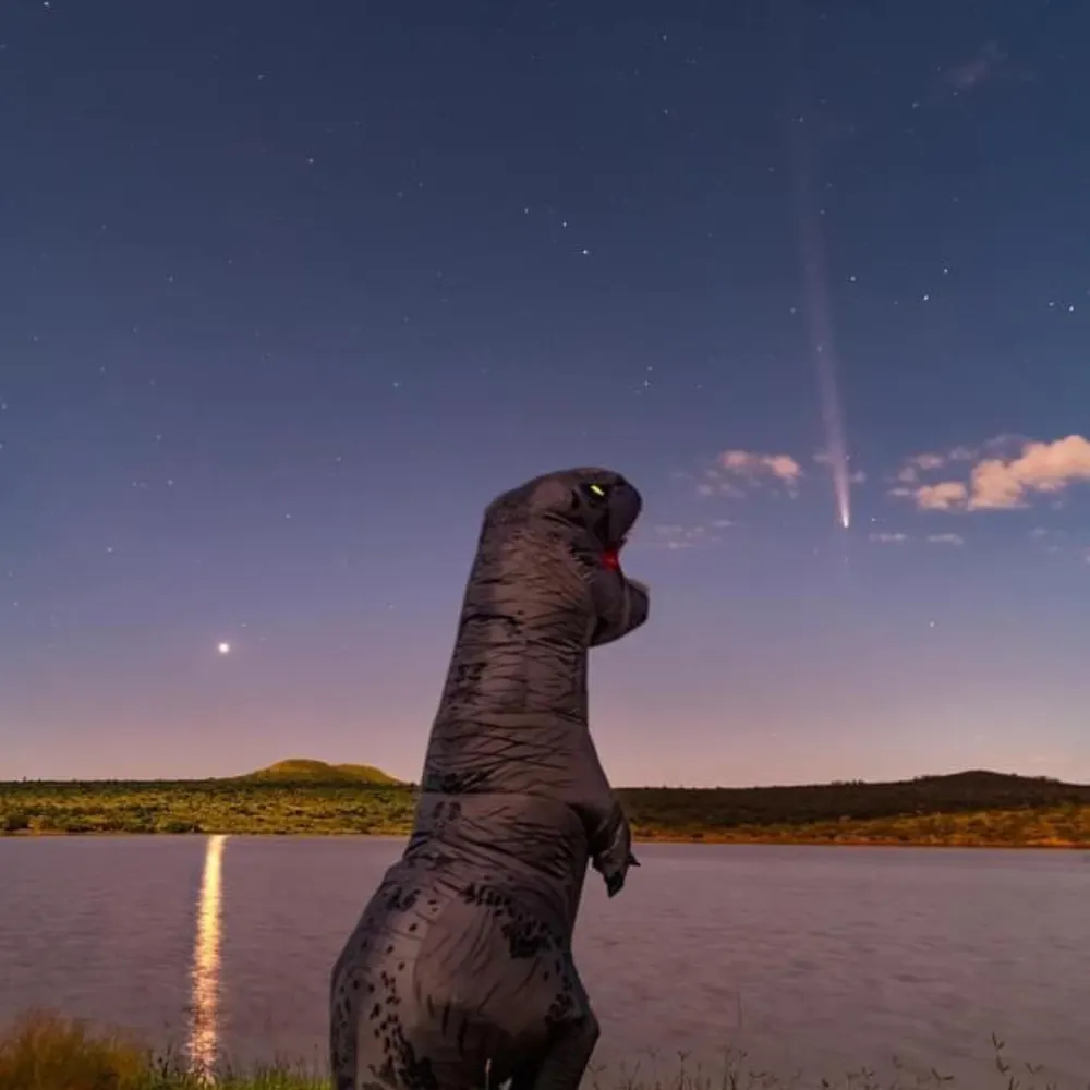 revokedonald.bsky.social's profile picture