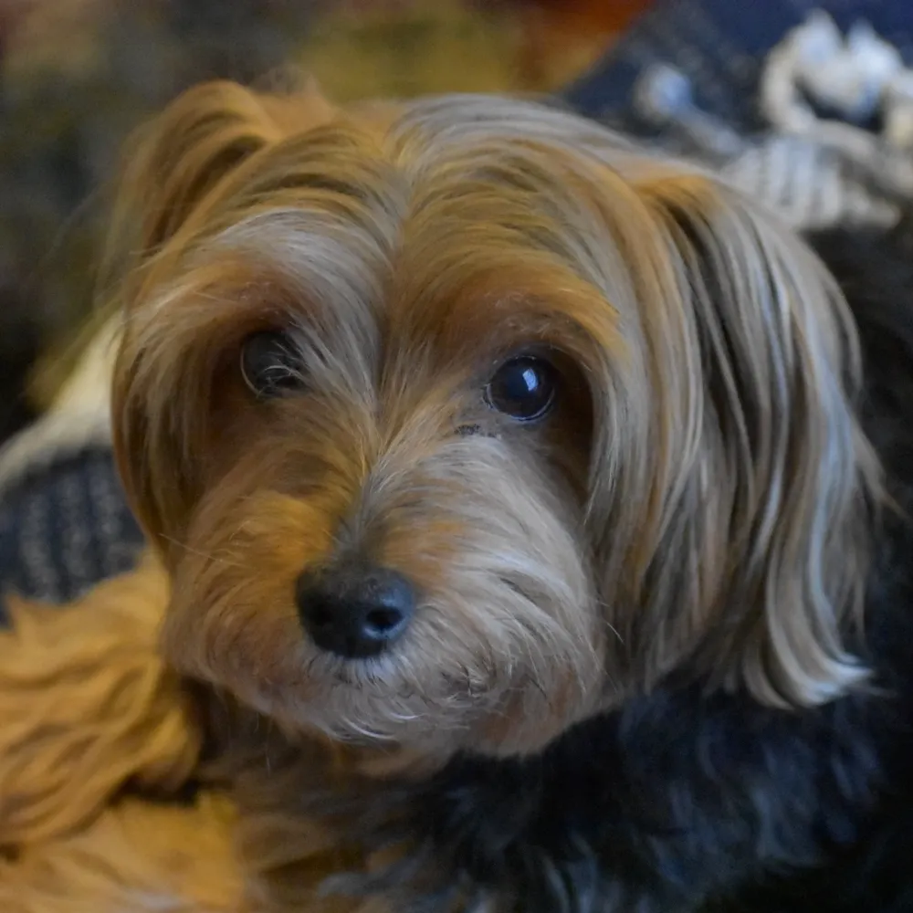 appointed.bsky.social's profile picture