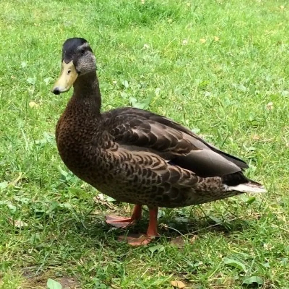 egil.io's profile picture