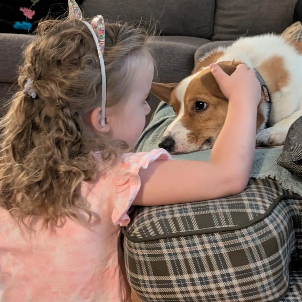 yellowhouseblkcat.bsky.social's profile picture