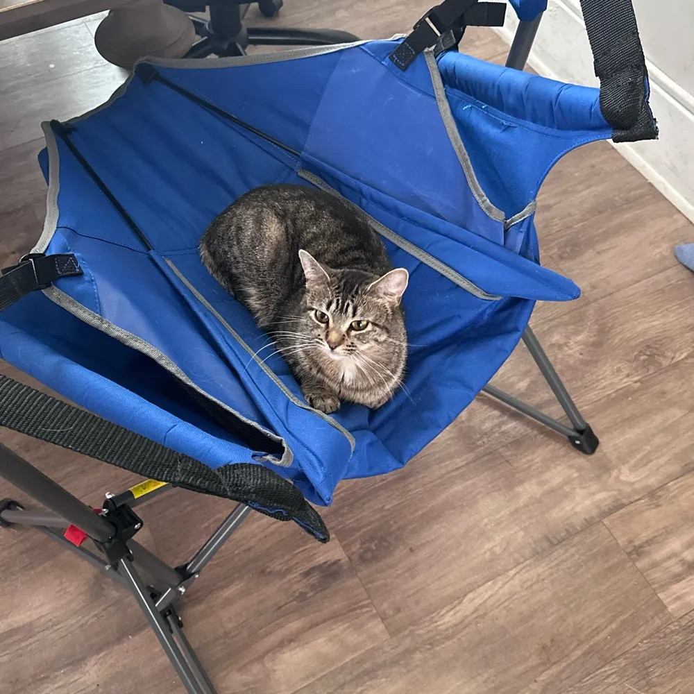 lex-a-frex69.bsky.social's profile picture