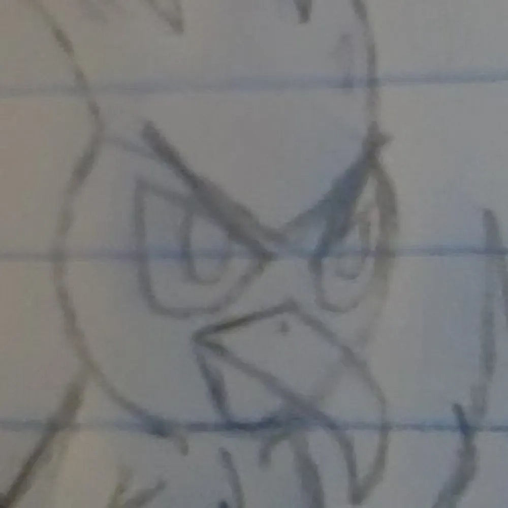 rusty-the-raccoon.bsky.social's profile picture