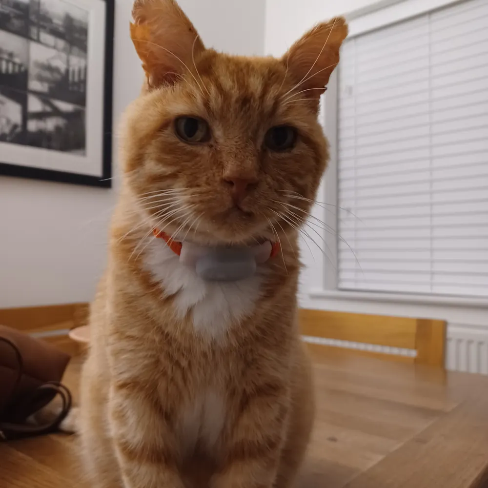 junesim63.bsky.social's profile picture