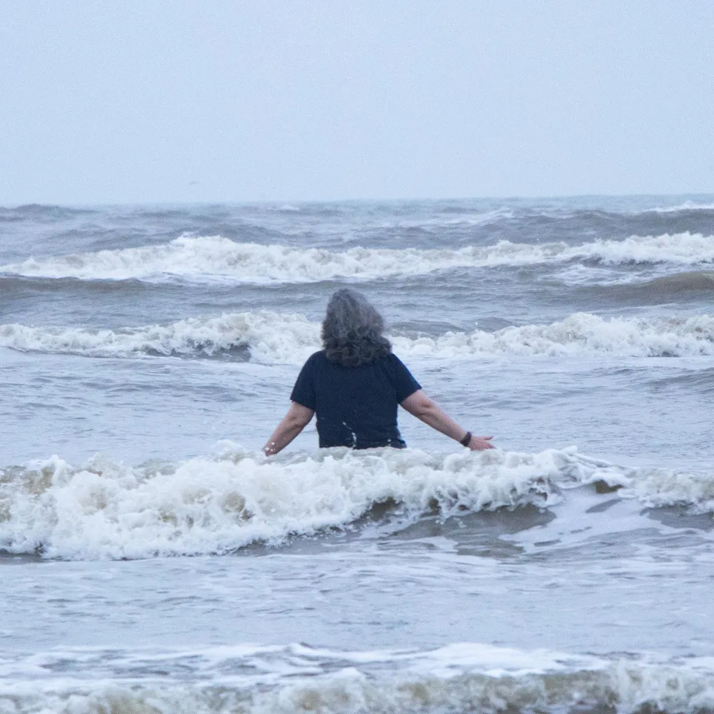 marthawells.com's profile picture