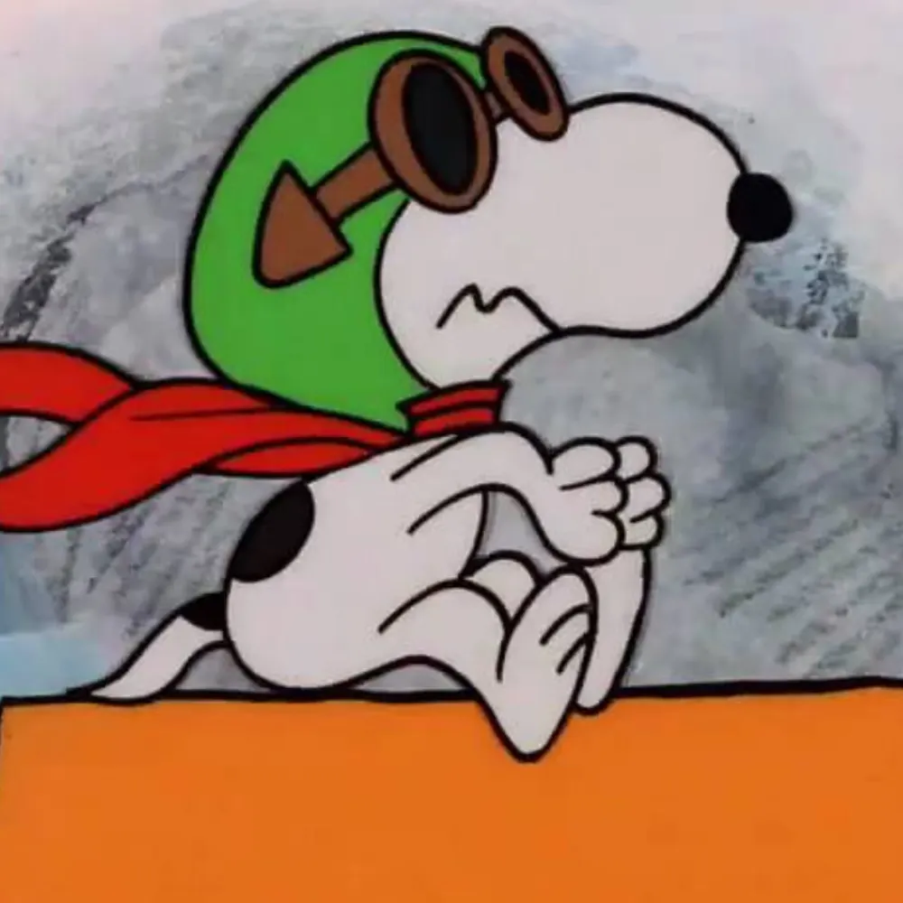 ohdeerthermos.bsky.social's profile picture