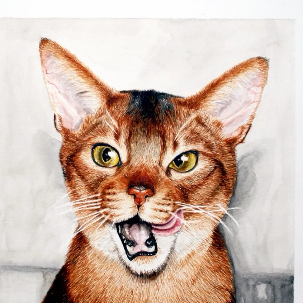 elen89.bsky.social's profile picture