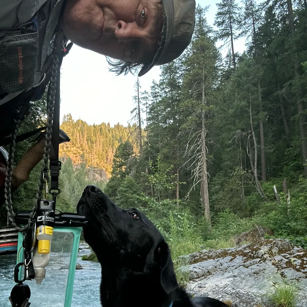 pianomover.bsky.social's profile picture