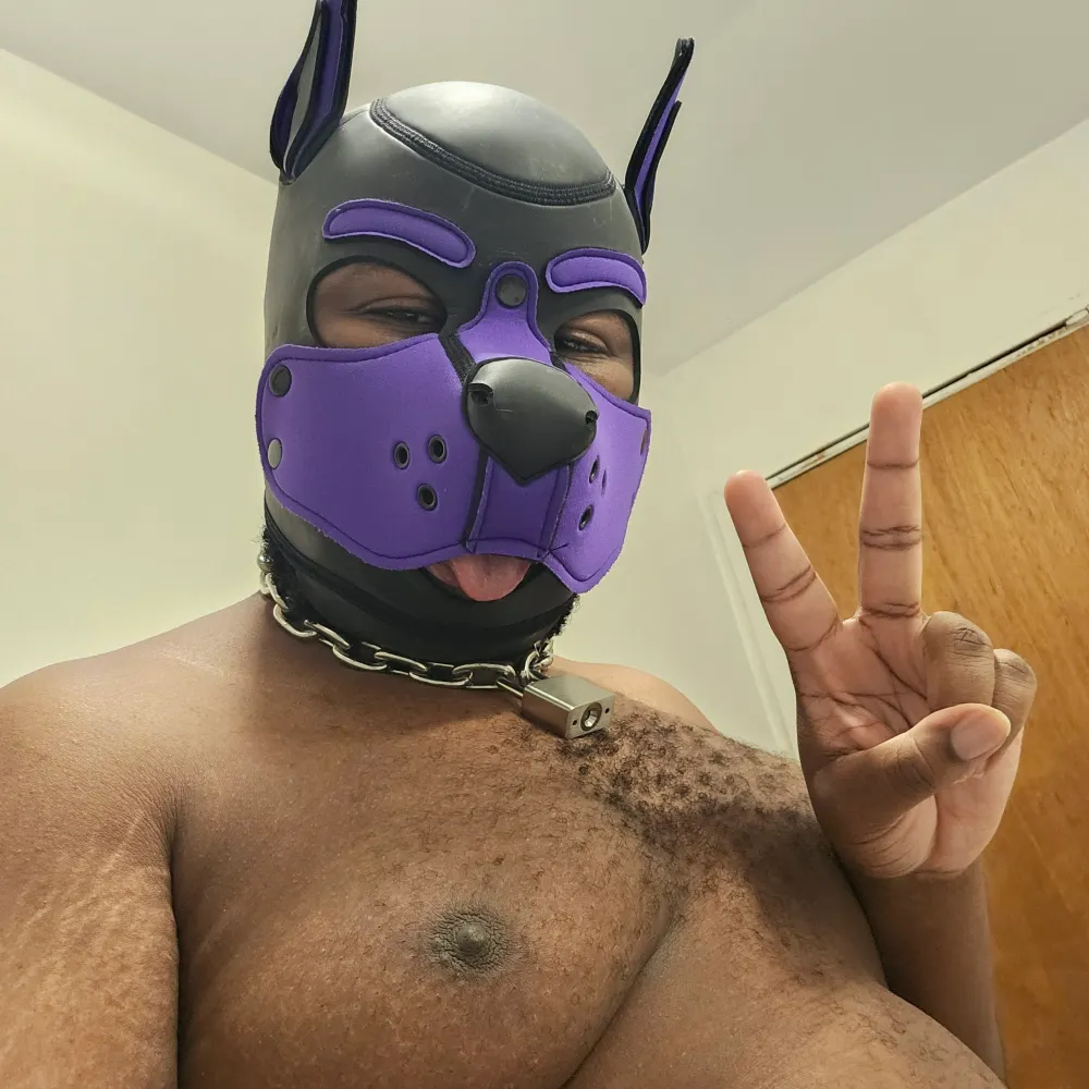 puptai.bsky.social's profile picture