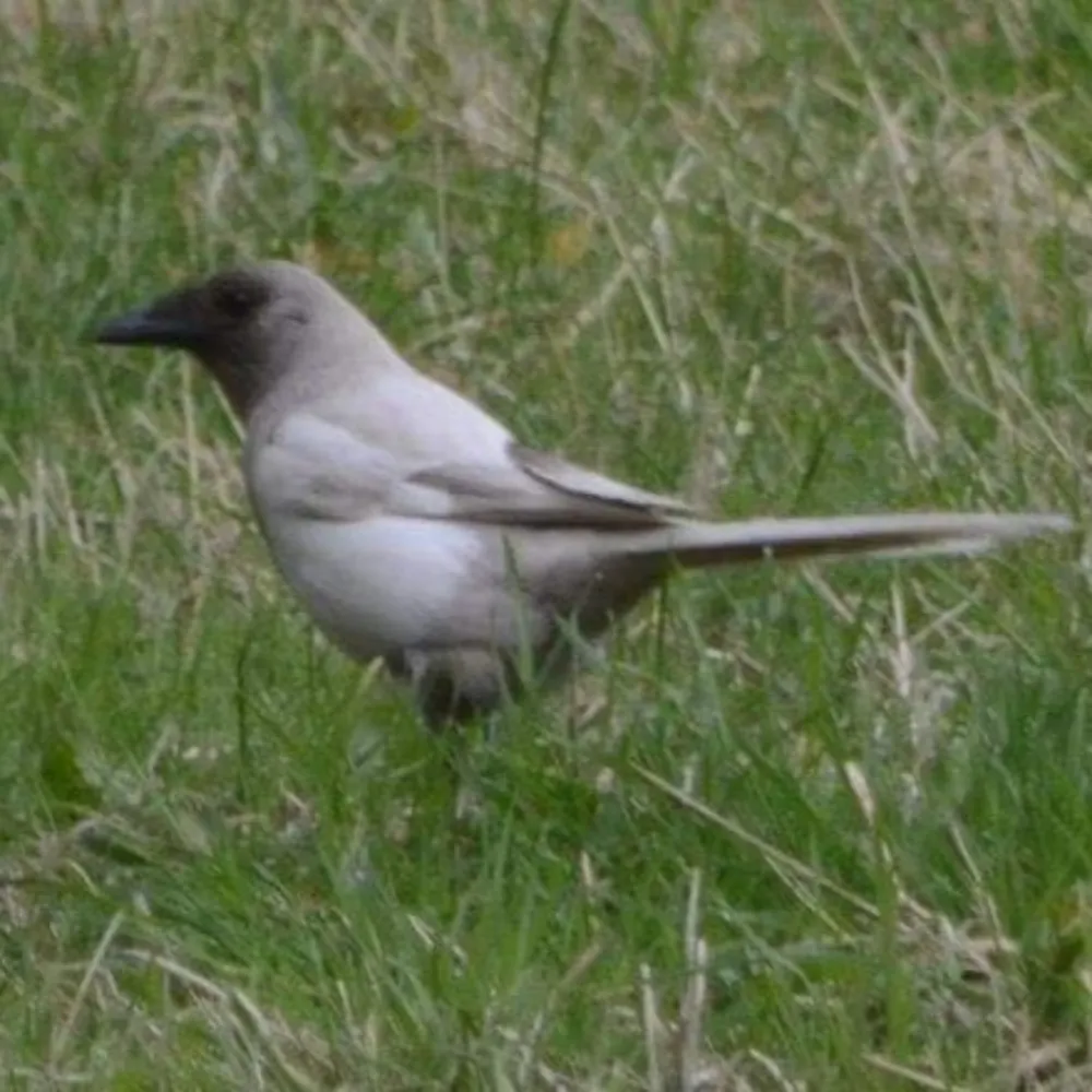 johnevanstw1.bsky.social's profile picture