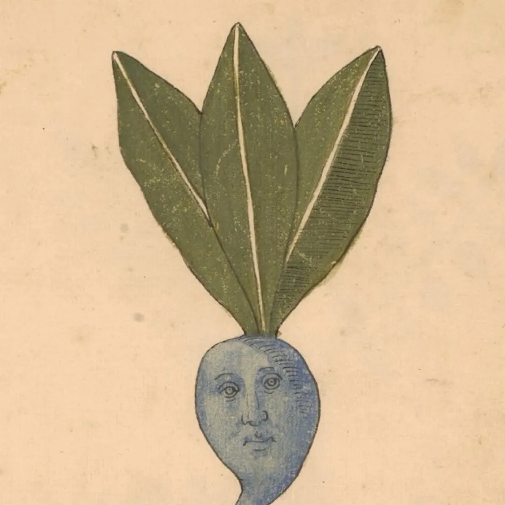 bromswell.bsky.social's profile picture