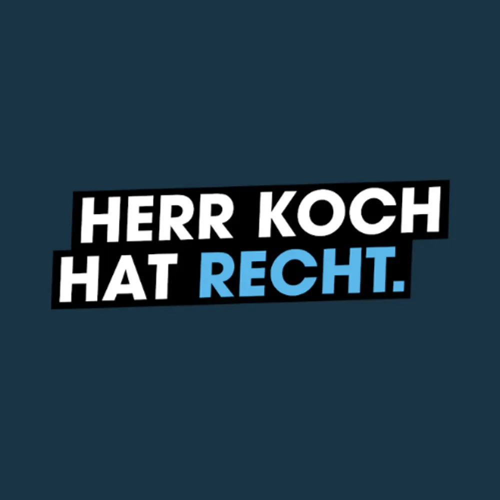 herrkochhatrecht.bsky.social's profile picture