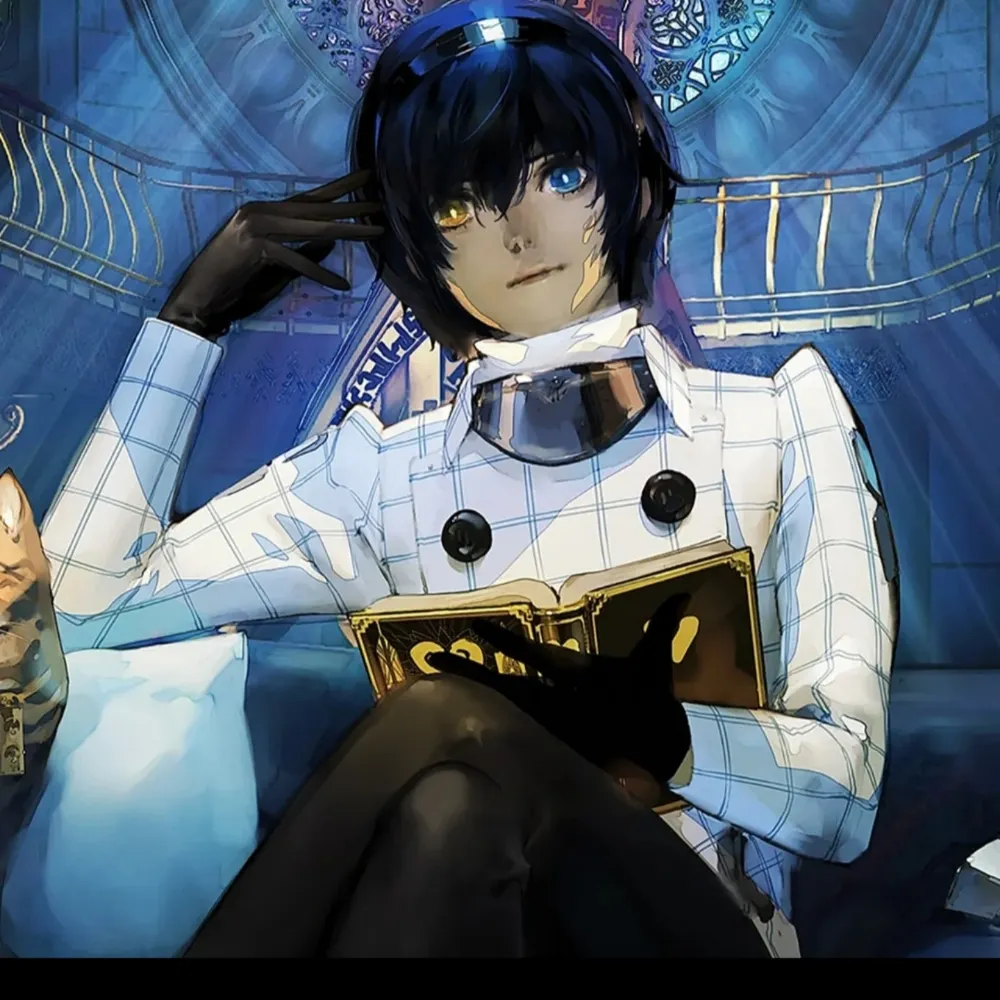 majema007.bsky.social's profile picture