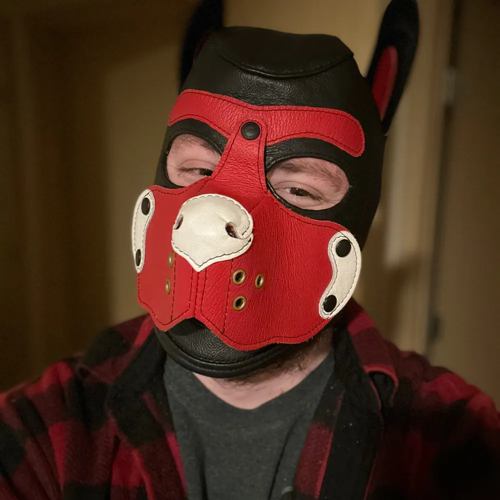 fantasticmrshiba.bsky.social's profile picture