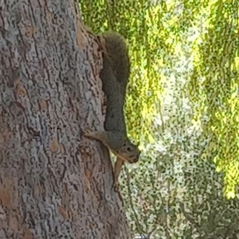 newgranarchist.bsky.social's profile picture