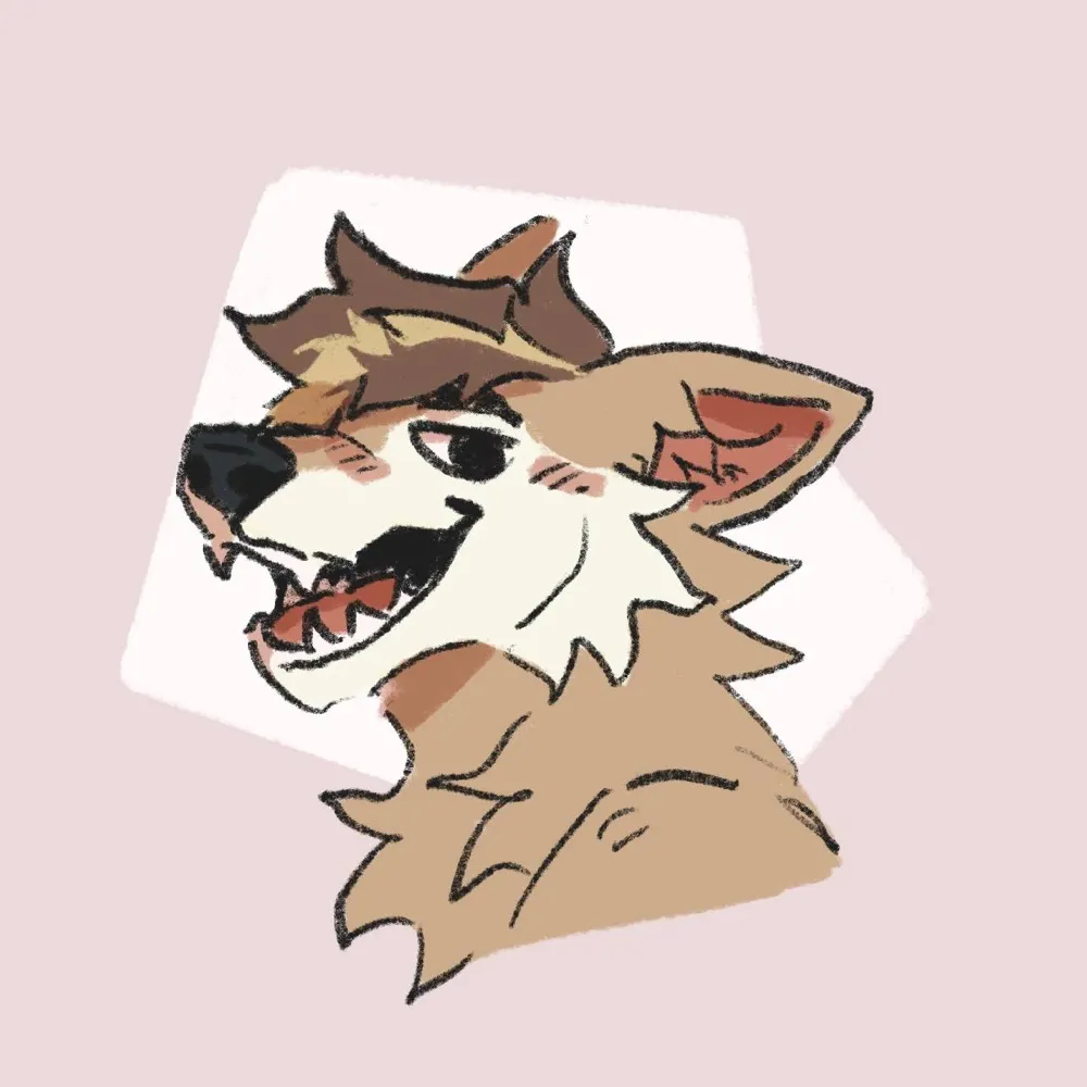 knabewolf.bsky.social's profile picture