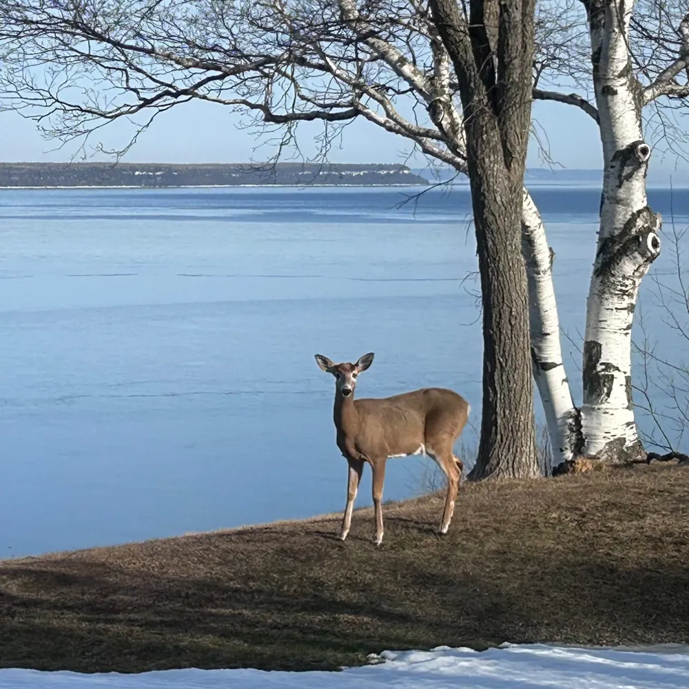 ajknight54.bsky.social's profile picture