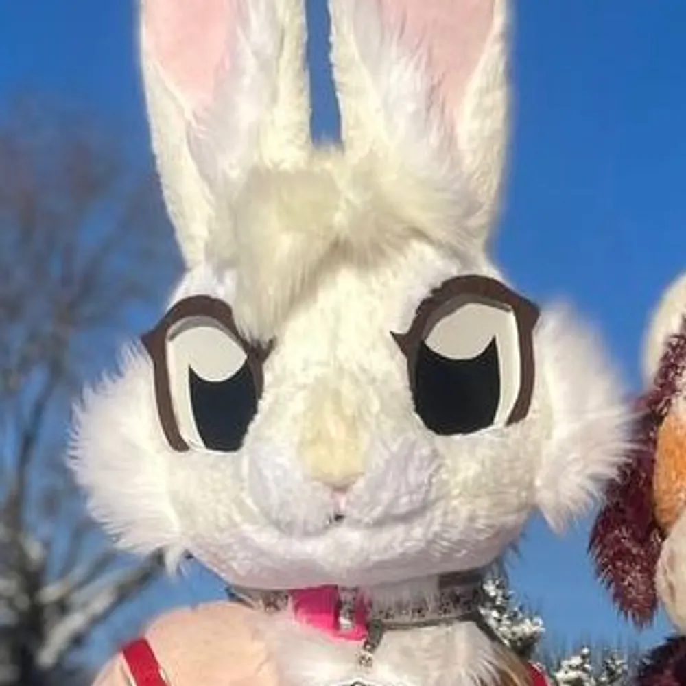 somberpaw.bsky.social's profile picture