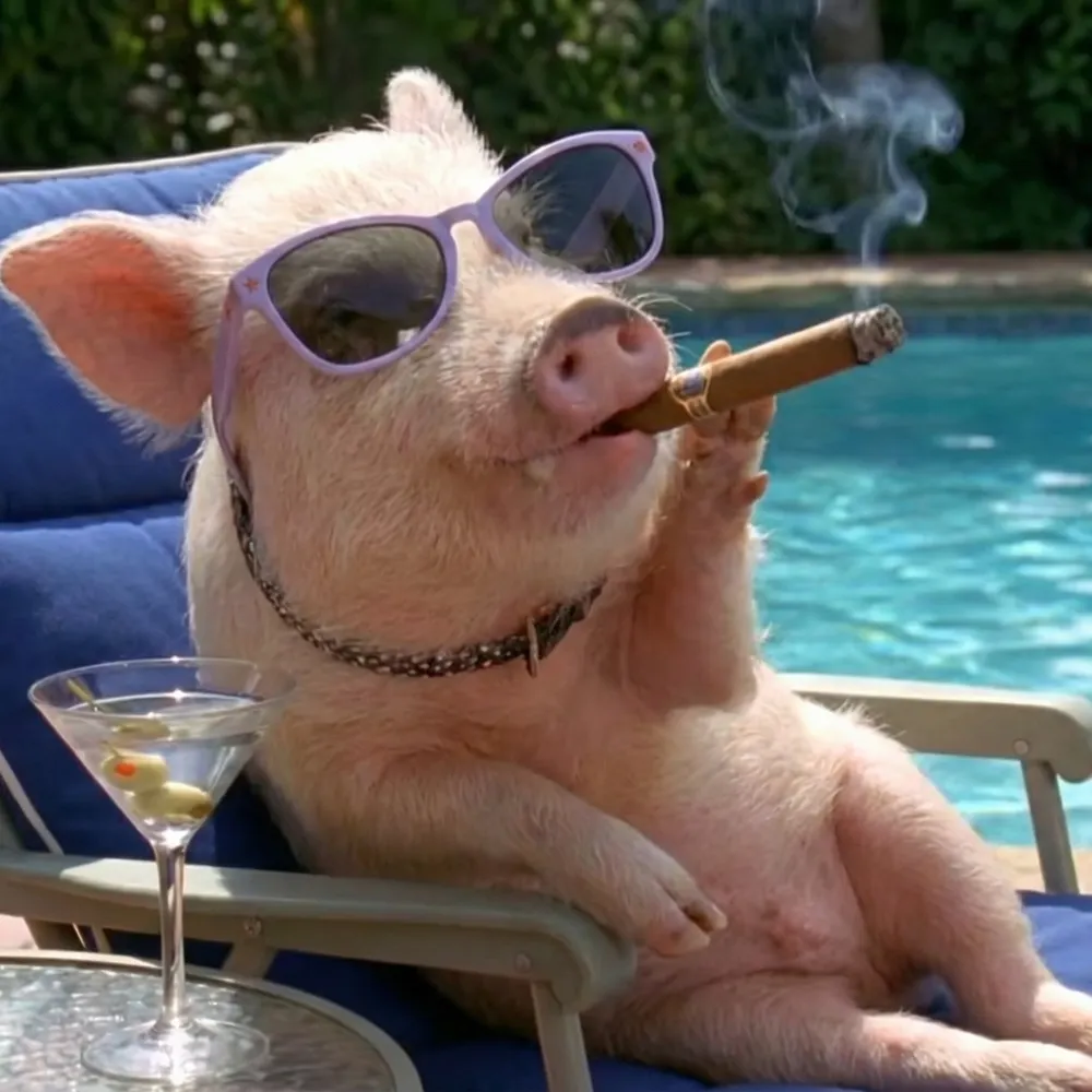 arnoldziffel.bsky.social's profile picture