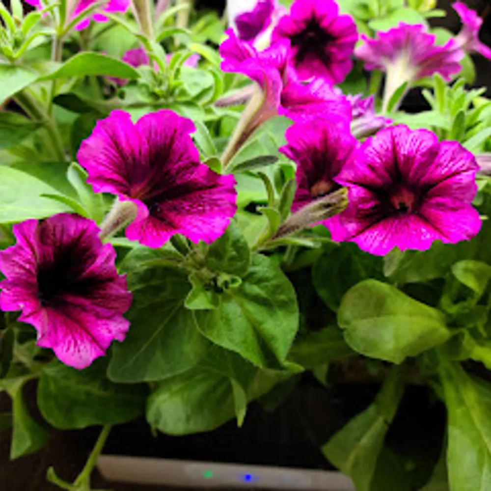 holliwinters57.bsky.social's profile picture