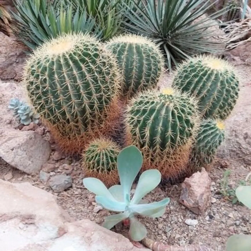 ggrobin.bsky.social's profile picture